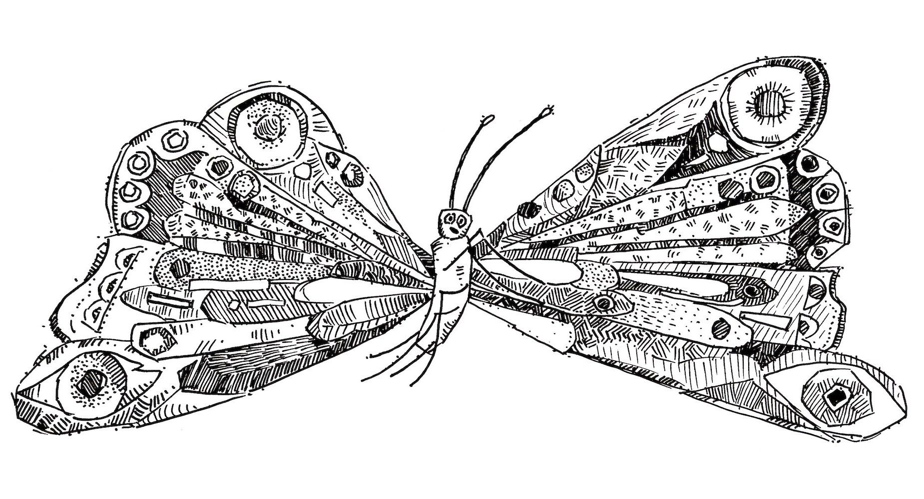Very hungry caterpillar essay image